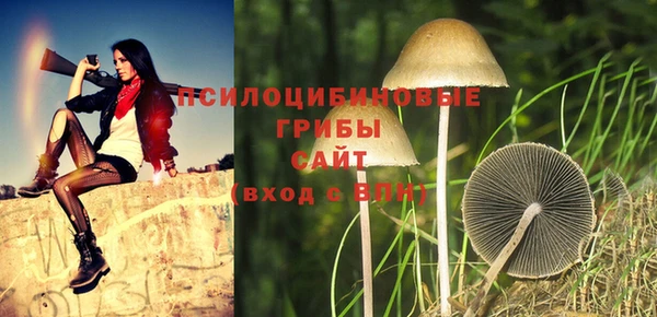 МДПВ Белоозёрский