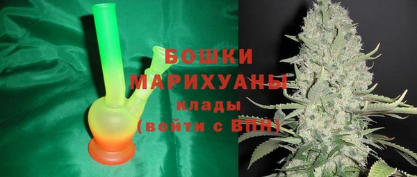 трава Белокуриха